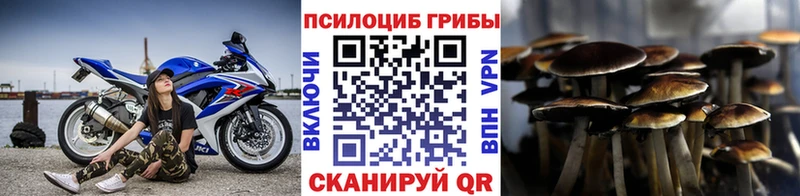 наркота  Онега  Псилоцибиновые грибы MAGIC MUSHROOMS 
